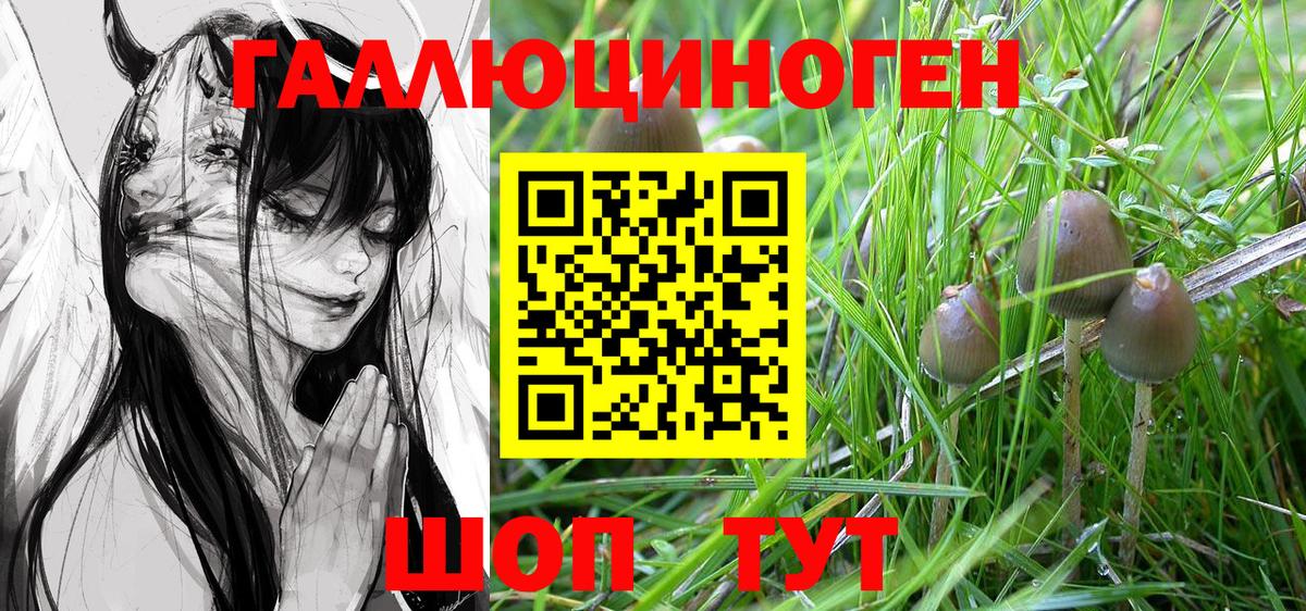 Белогорск  Галлюциногенные грибы мухоморы  Вход с VPN 