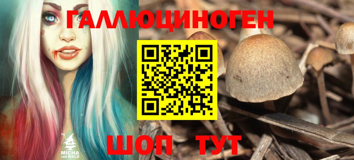 Галлюциногенные грибы MAGIC MUSHROOMS Белогорск